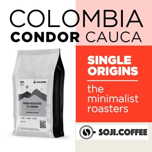 COLOMBIA CAUCA CONDOR