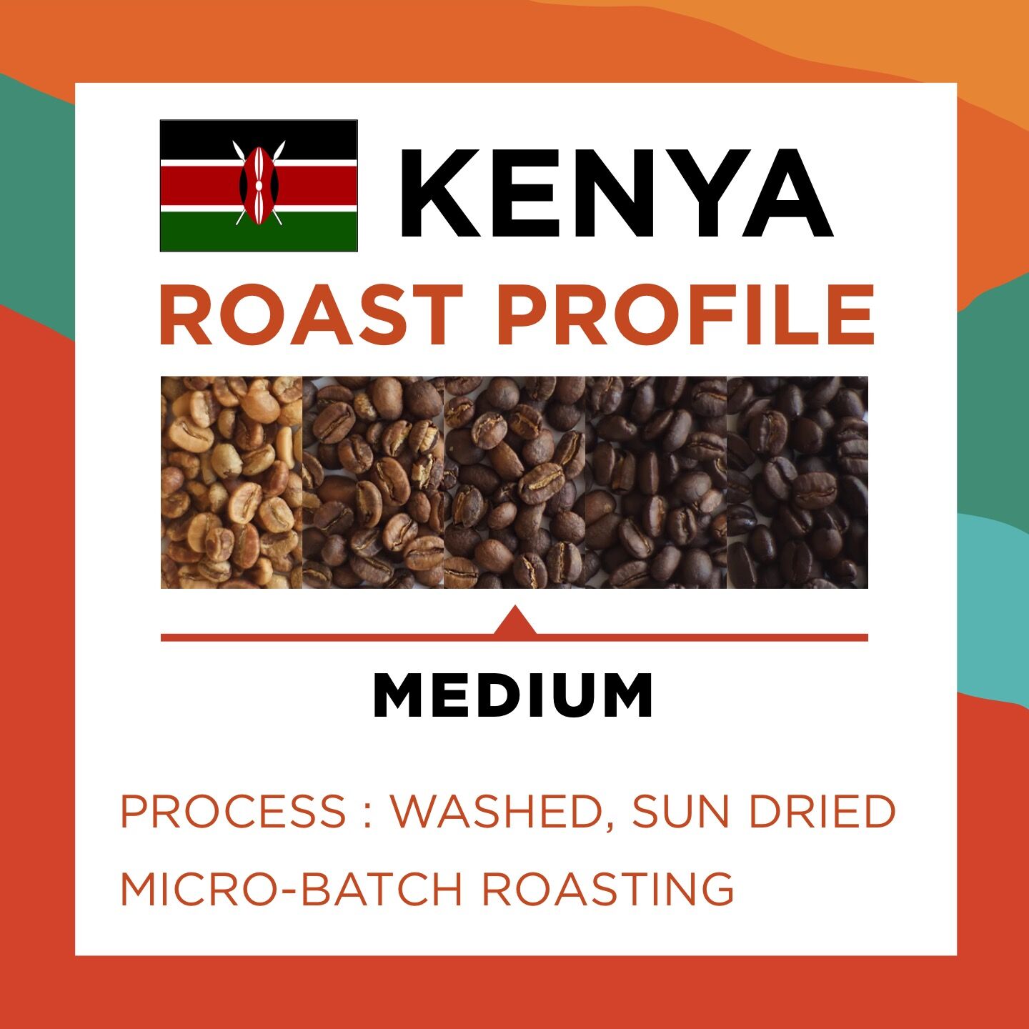 KENYA MBOGO (Balanced) - Image 3