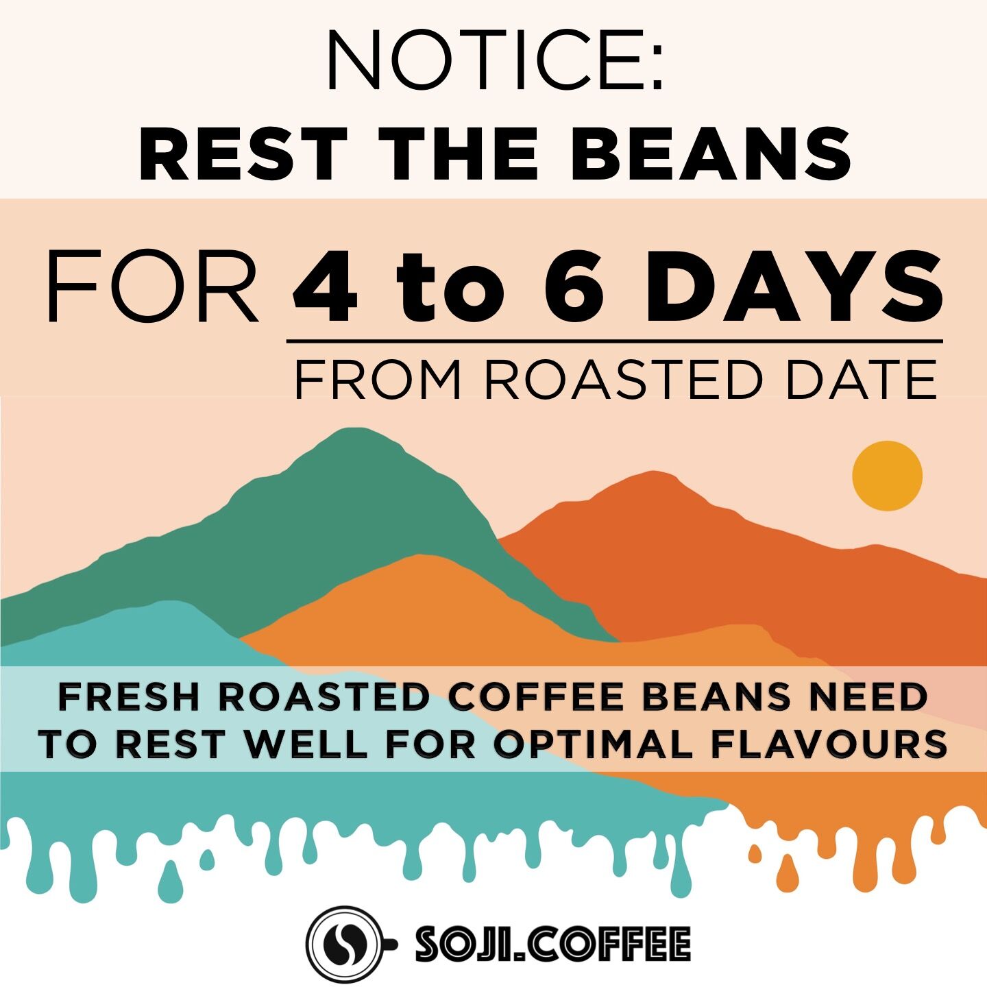 GUATEMALA HUEHUETENANGO (Balanced) - Image 5