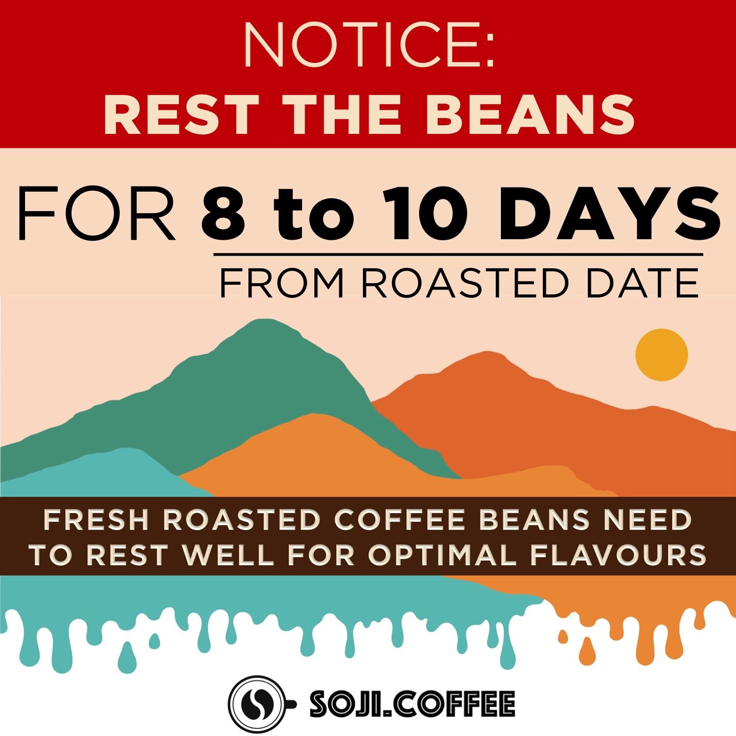 ETHIOPIA WUBANCHI G1 SUPERNATURAL (Fruity) - Image 5