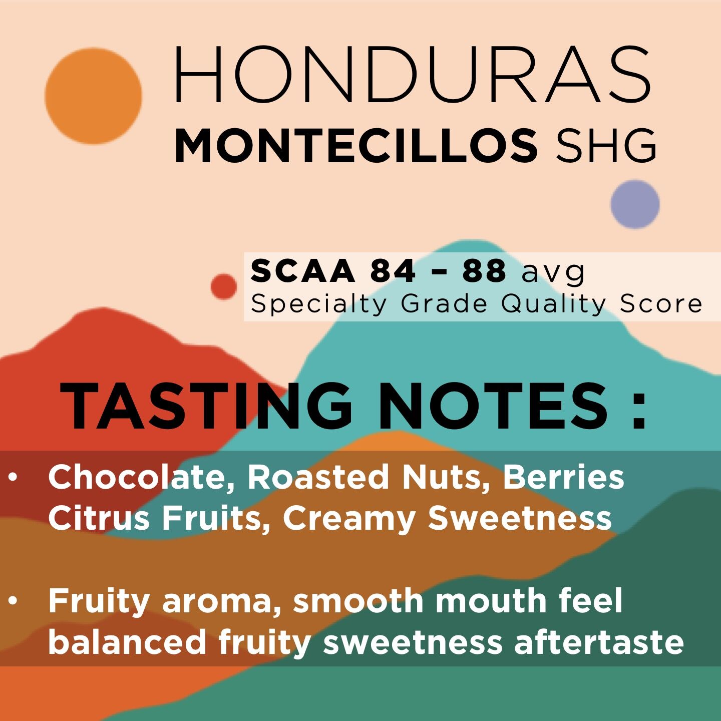 HONDURAS MONTECILLOS SHG (Balanced) - Image 2