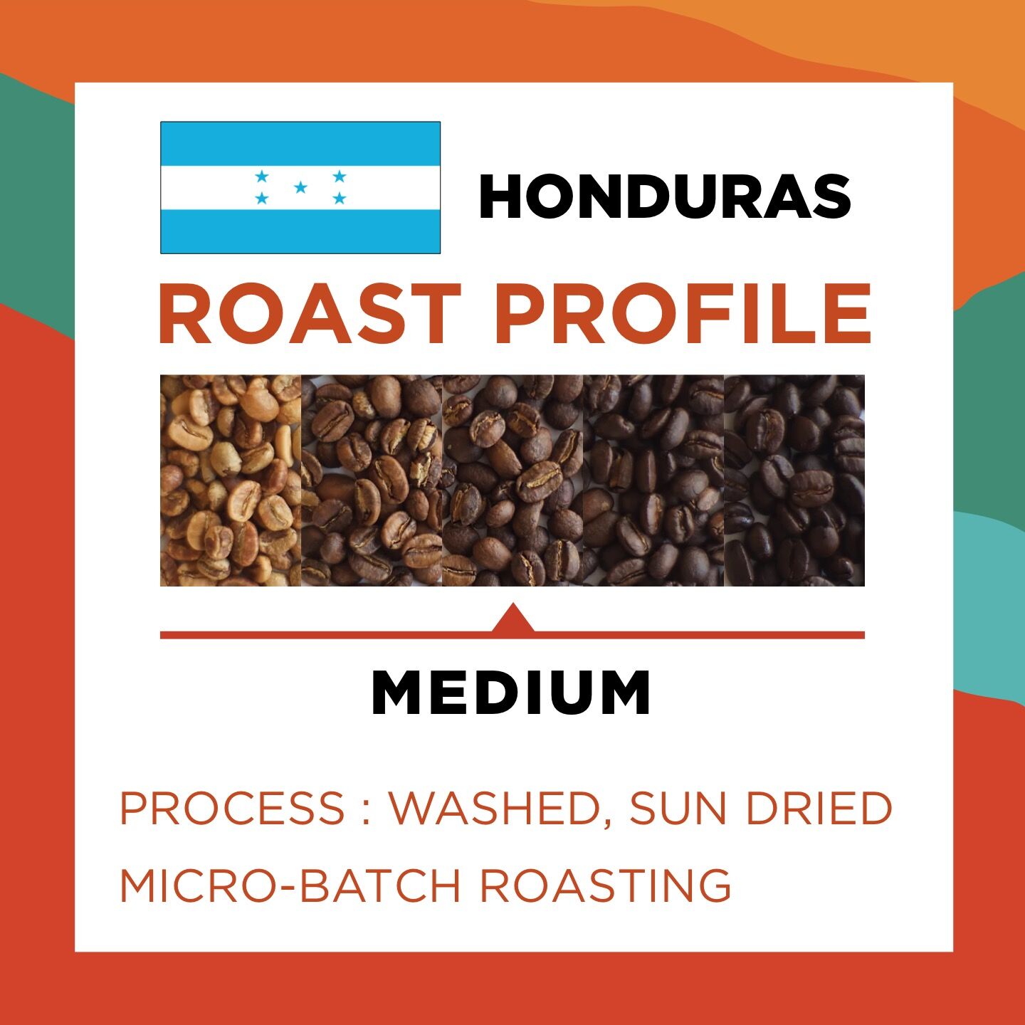 HONDURAS MONTECILLOS SHG (Balanced) - Image 3