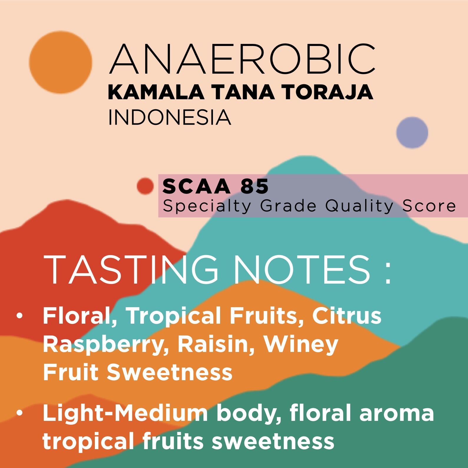 KAMALA TANA TORAJA (ANAEROBIC) - Image 2